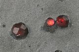 Plate of Ten Red Embers Garnets in Graphite - Massachusetts #272743-2